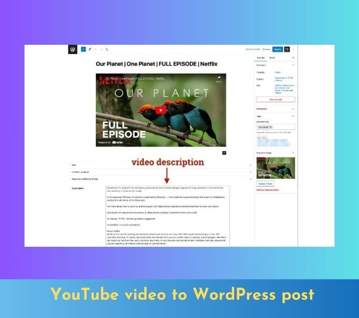 YouTube video to WordPress post